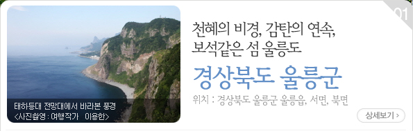 ‘잣나무 섬에 나만의 별장을 짓다! 평창 아트인아일랜드 캠핑장
