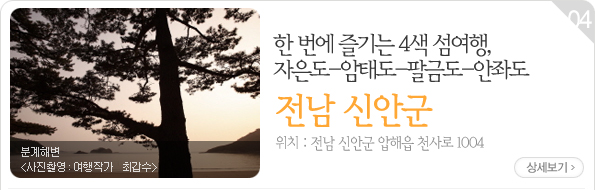 숲을 병풍 삼아 소나무 아래 하룻밤, 양평 솔뜰 캠핑장