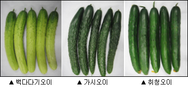 이미지 대체 내용을 작성합니다.