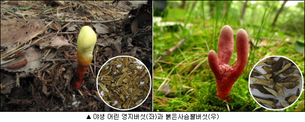 이미지 대체 내용을 작성합니다.