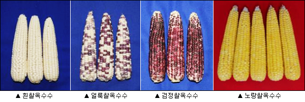 이미지 대체 내용을 작성합니다.