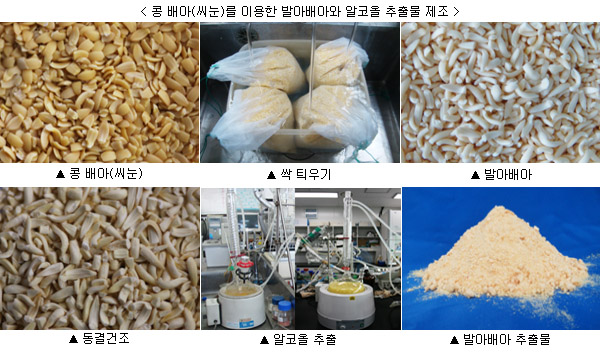 이미지 대체 내용을 작성합니다.