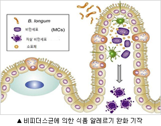 이미지 대체 내용을 작성합니다.