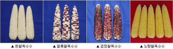 이미지 대체 내용을 작성합니다.
