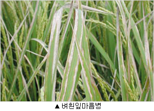이미지 대체 내용을 작성합니다.