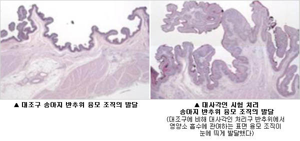 이미지 대체 내용을 작성합니다.