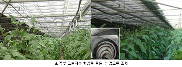 이미지 대체 내용을 작성합니다.