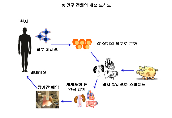 이미지 대체 내용을 작성합니다.