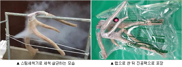 이미지 대체 내용을 작성합니다.