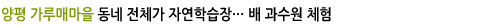 양평