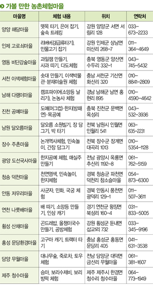 생생한big2