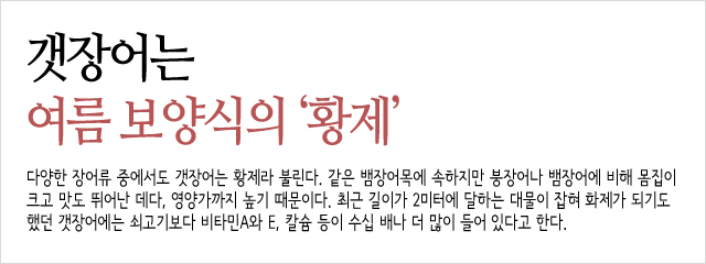 갯main