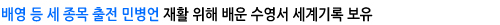 배영등