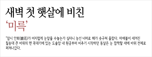새main