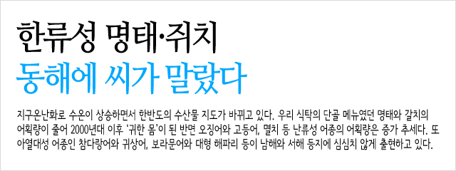 한main