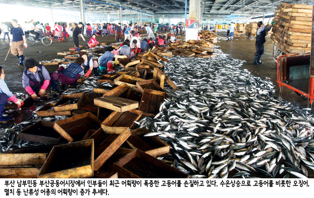 한big