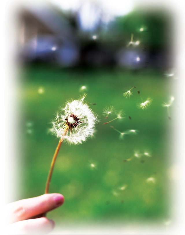 위클리 공감 238호