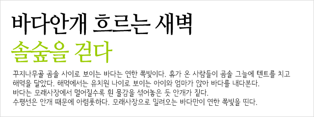 솔향기환경 이미지