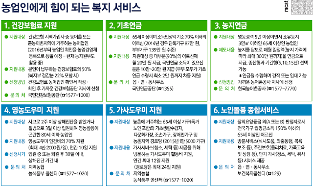 서비스