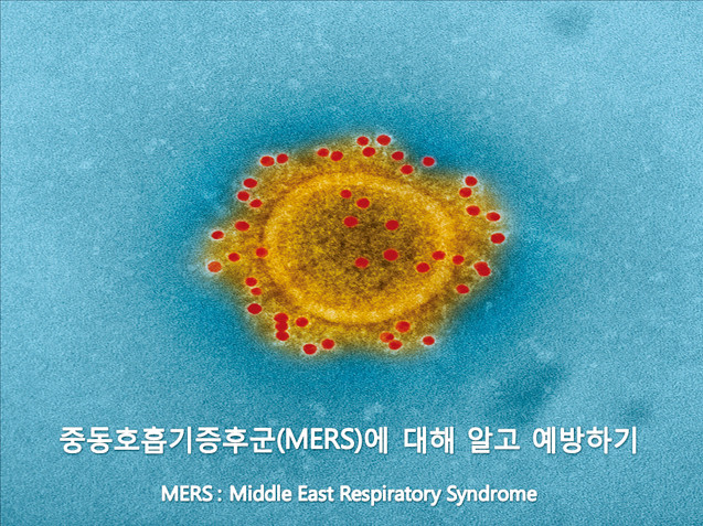 메르스