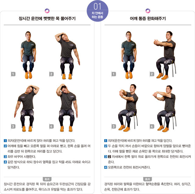차안에서 하는 운동