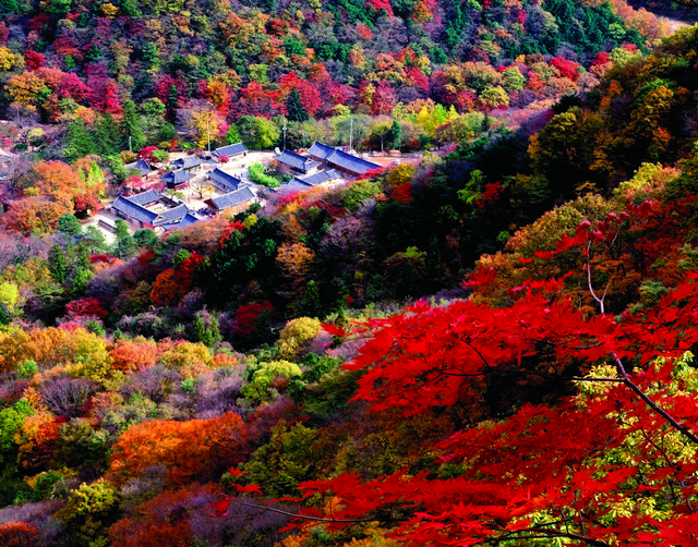 내장산