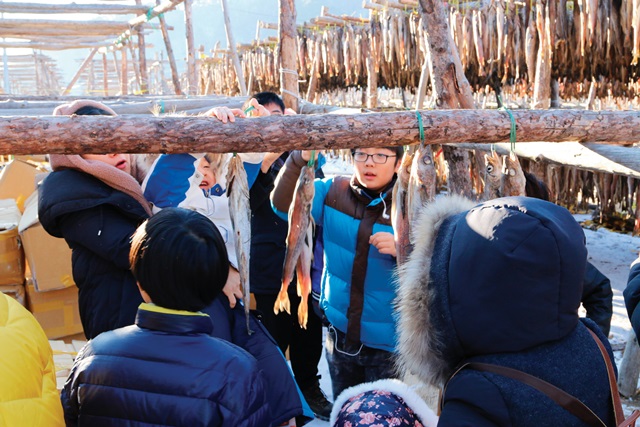 황태마을_황태덕장투어