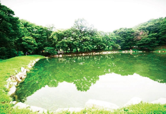 연당숲
