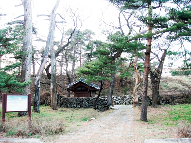 마을숲