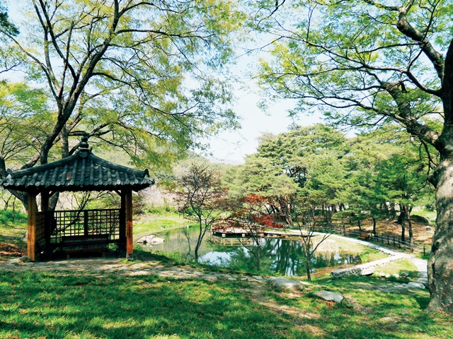 덕동숲