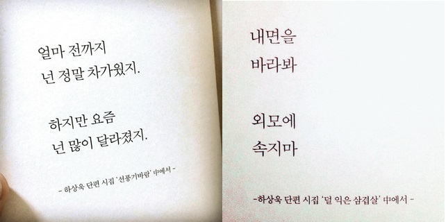하상욱 시인 작품