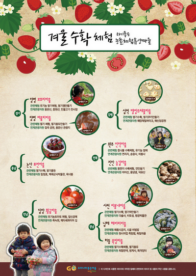 겨울수확체험 양평 모꼬지마을