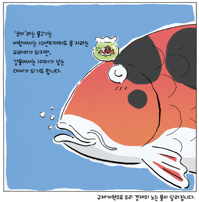 공감카툰