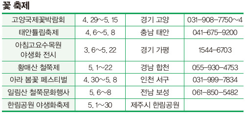 꽃축제