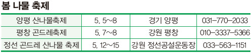 봄나물축제