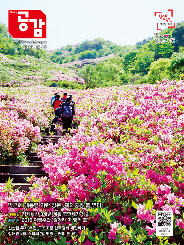 위클리공감 353호