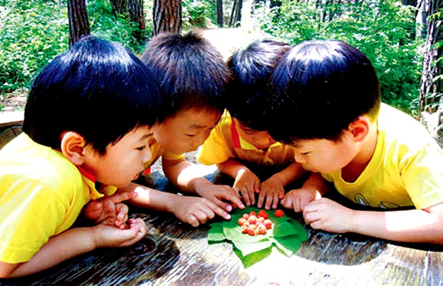 산림복지 서비스 이용권 제도