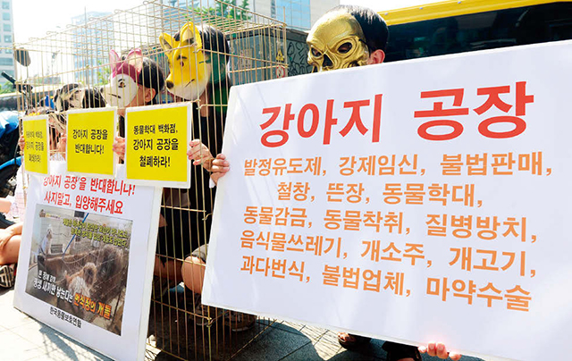  ‘강아지 공장’ 반대 퍼포먼스