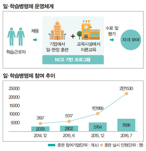 능력위주채용