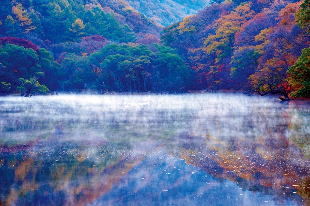풍경