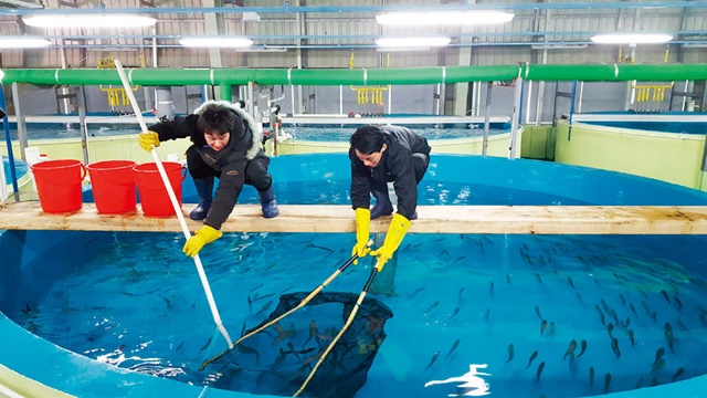 양식장