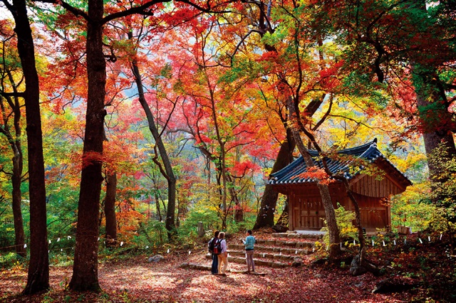 치악산