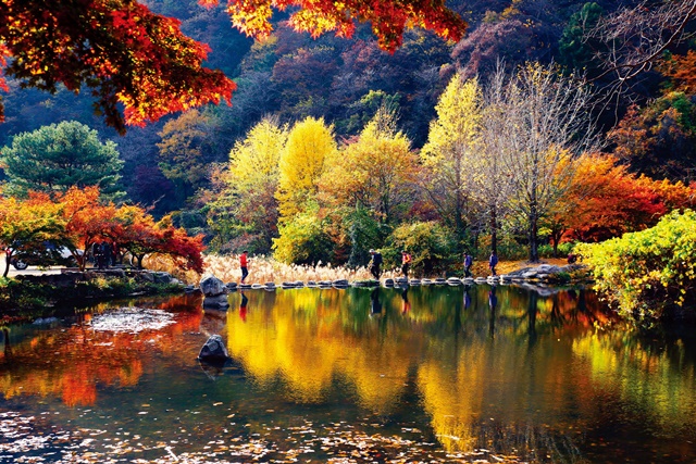 내장산