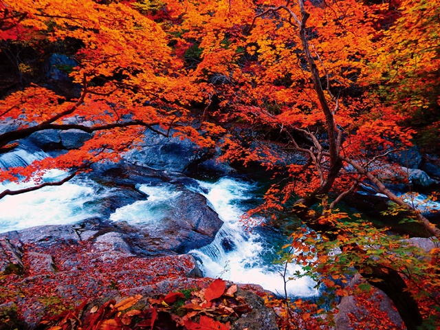 지리산