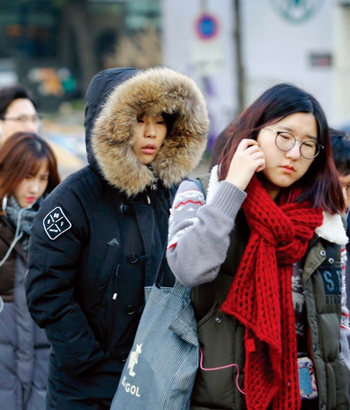 한파 한파