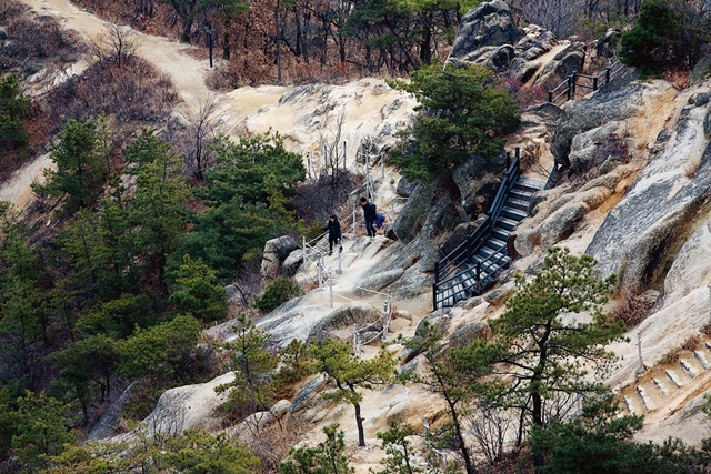 안산자락길