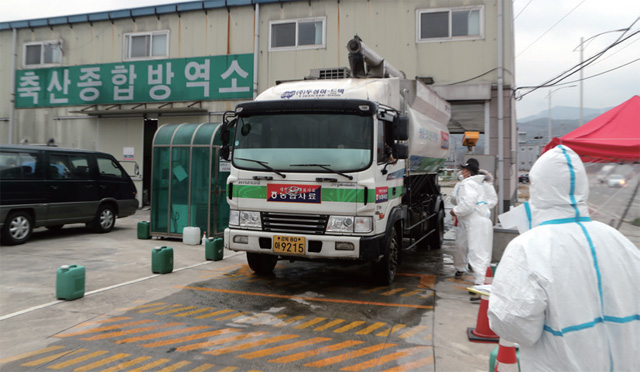 산란계 농장을 오가는 차량이 소독을 마친 모습