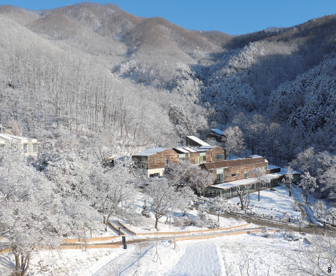 8힐리언스 선마을 전경 