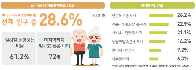 직업별 취업 분포