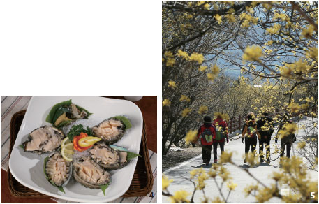 전복회, 구례 산수유꽃 축제